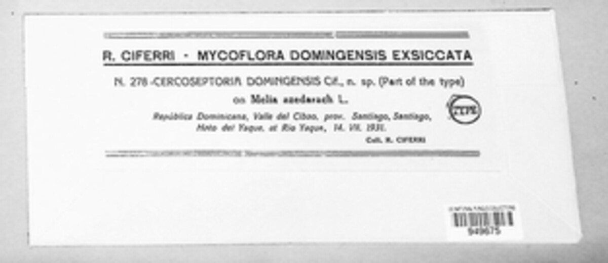 Cercoseptoria domingensis image